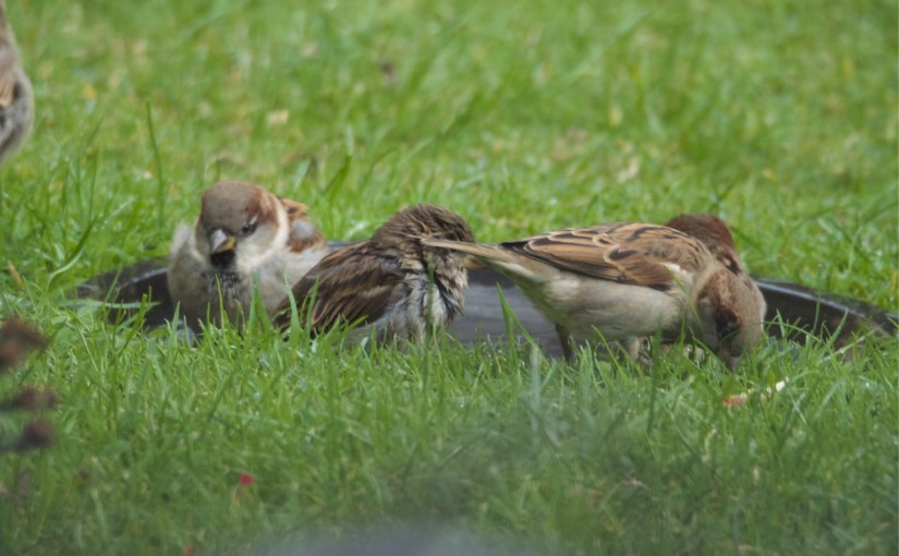 Uncomfortable was just the&nbsp;beginning.