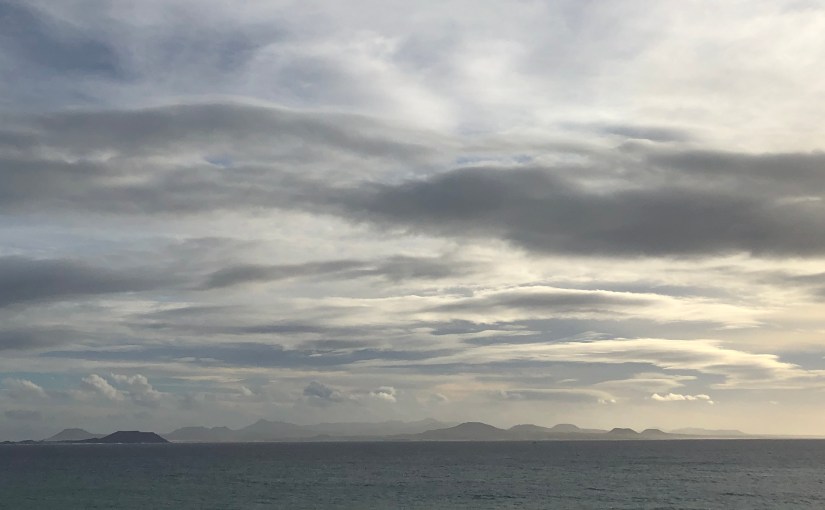 Managing Uncertainty